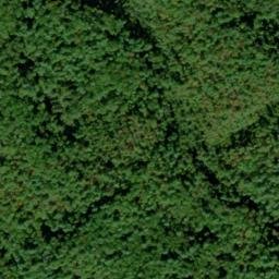 Satellite imagery of Bearpen Ridge, US