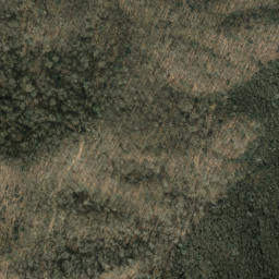 Satellite imagery of Trail Ridge, US