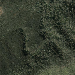 Satellite imagery of Trail Ridge, US
