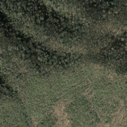 Satellite imagery of Trail Ridge, US