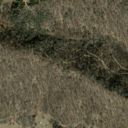 Satellite imagery of Long Levels, US