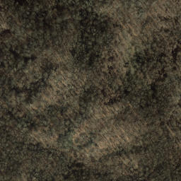 Satellite imagery of Newfound Mountain, US