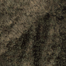 Satellite imagery of Newfound Mountain, US