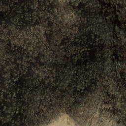 Satellite imagery of Newfound Mountain, US