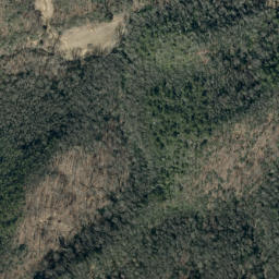 Satellite imagery of Youngs Ridge, US