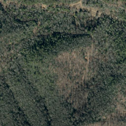 Satellite imagery of Youngs Ridge, US