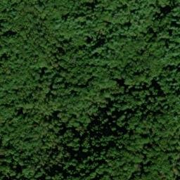 Satellite imagery of Bearpen Ridge, US