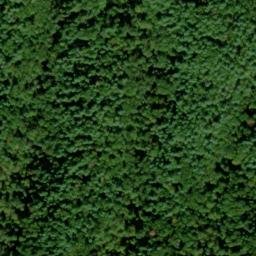 Satellite imagery of Bearpen Ridge, US