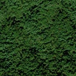 Satellite imagery of Bearpen Ridge, US