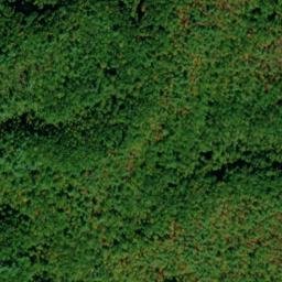 Satellite imagery of Wilkinson Ridge, US