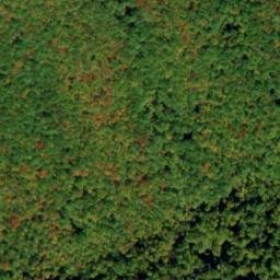 Satellite imagery of Timber Ridge, US