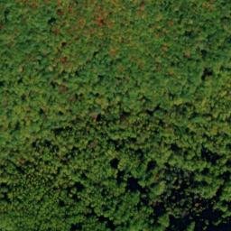 Satellite imagery of Timber Ridge, US