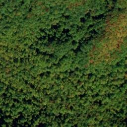 Satellite imagery of Timber Ridge, US