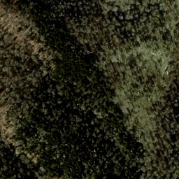 Satellite imagery of Long Ridge, US