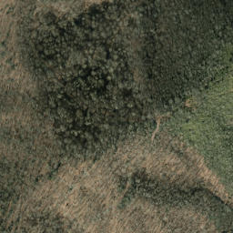 Satellite imagery of Trail Ridge, US