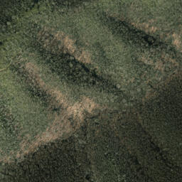 Satellite imagery of Trail Ridge, US