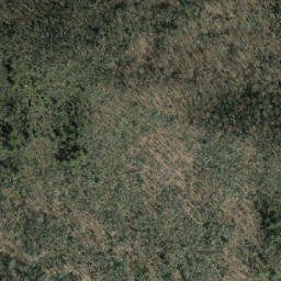 Satellite imagery of Nellie Ridge, US