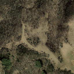 Satellite imagery of Newfound Mountain, US