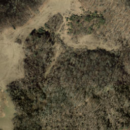 Satellite imagery of Newfound Mountain, US