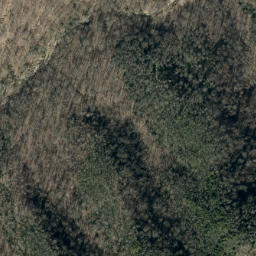 Satellite imagery of Point Lookout, US