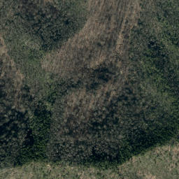 Satellite imagery of Point Lookout, US