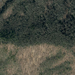 Satellite imagery of Youngs Ridge, US