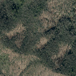 Satellite imagery of Youngs Ridge, US