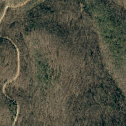 Satellite imagery of Bee Ridge, US