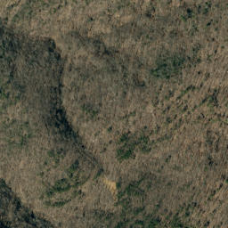 Satellite imagery of Bee Ridge, US