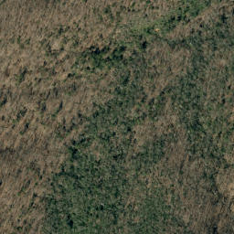 Satellite imagery of Bee Ridge, US