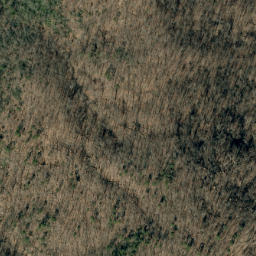 Satellite imagery of Stony Ridge, US