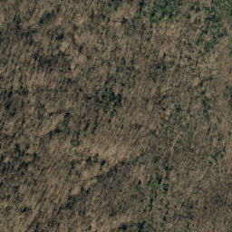 Satellite imagery of Stony Ridge, US