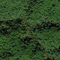 Satellite imagery of Stony Ridge, US