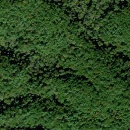 Satellite imagery of Stony Ridge, US