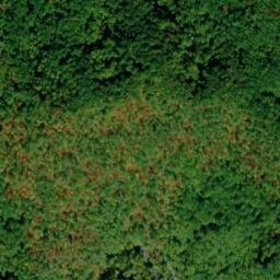 Satellite imagery of Wilkinson Ridge, US