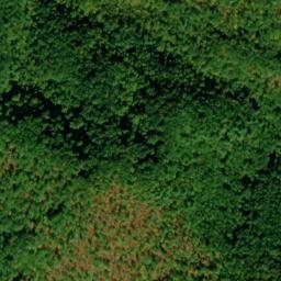Satellite imagery of Wilkinson Ridge, US