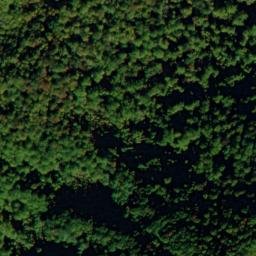Satellite imagery of Timber Ridge, US