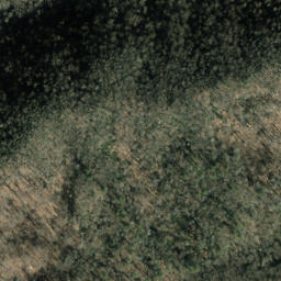 Satellite imagery of Nellie Ridge, US