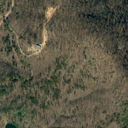 Satellite imagery of Bee Ridge, US