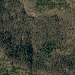 Satellite imagery of Bee Ridge, US