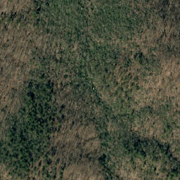 Satellite imagery of Bee Ridge, US
