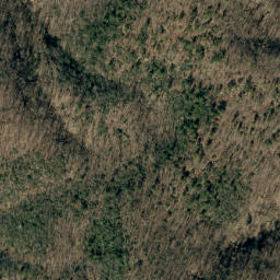 Satellite imagery of Stony Ridge, US