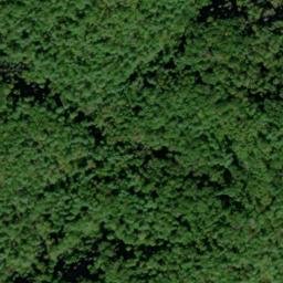Satellite imagery of Stony Ridge, US