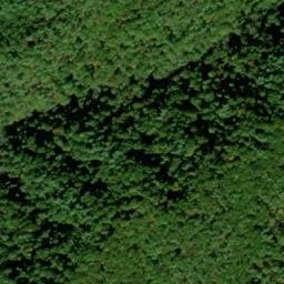 Satellite imagery of Stony Ridge, US