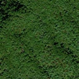 Satellite imagery of Arbutus Ridge, US