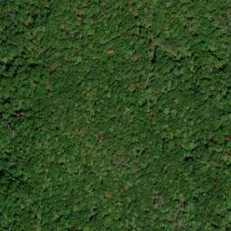 Satellite imagery of Leading Ridge, US