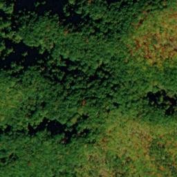 Satellite imagery of Timber Ridge, US