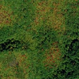 Satellite imagery of Timber Ridge, US