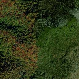 Satellite imagery of Bent Arm, US