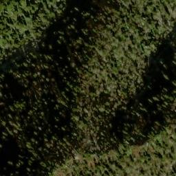 Satellite imagery of Mingus Lead, US